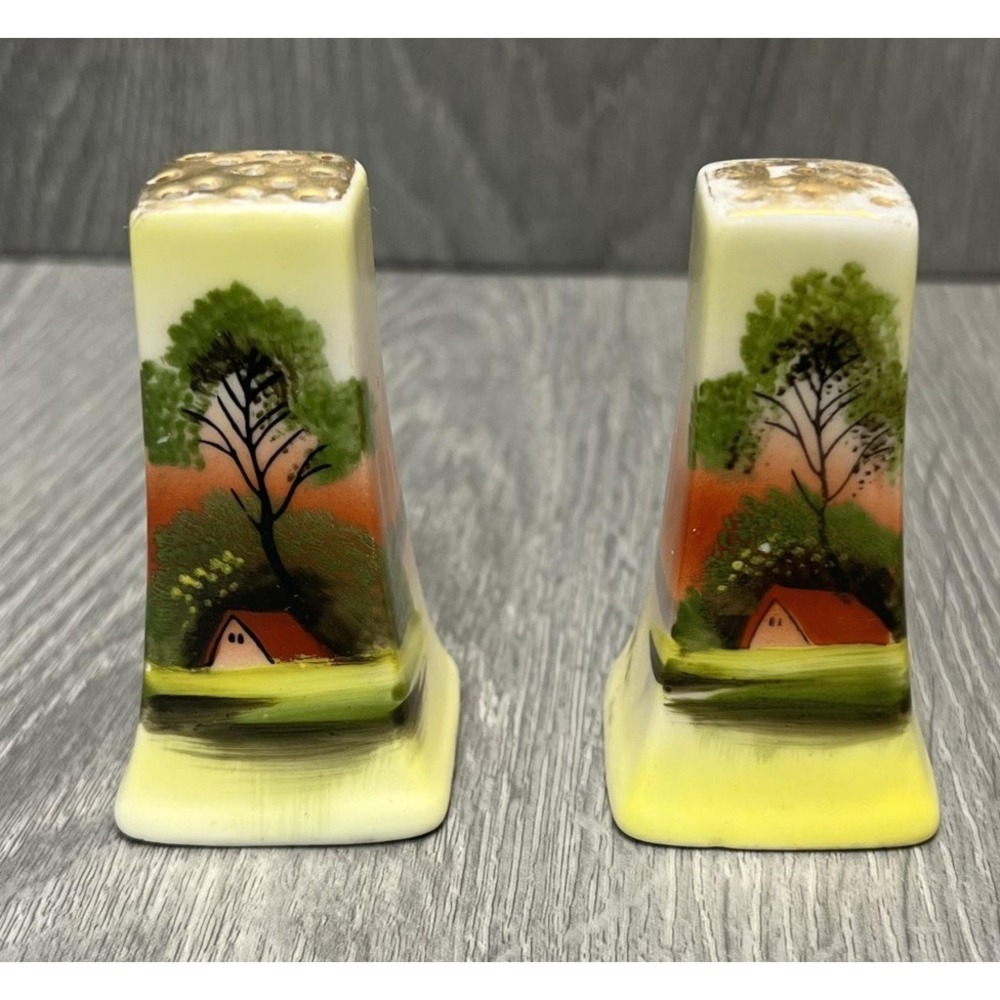 Vtg Japan Hand‎ Painted Cottage Landscape Ceramic Salt Pepper Shakers Pair